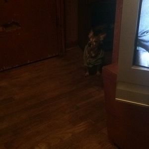 Meet your Posher, Debbie